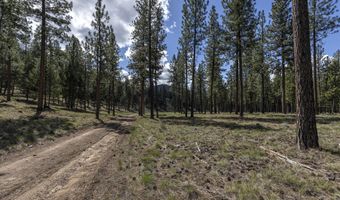 Nhn Mountain Vista Lane, Alberton, MT 59820