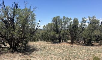 249 W Kings Ranch Rd, Ash Fork, AZ 86320