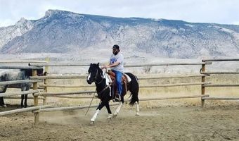 15 Arrowhead Dr, Cody, WY 82414