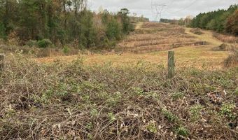AL HWY 223, Banks, AL 36005