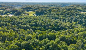 24 Joyful Spgs, Beattyville, KY 41311