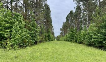 Mount Carmel Road, Bailey, MS 39320