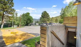 55 Bear Trl, Aspen, CO 81611