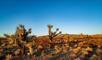 2641 S Javalina Rd, Yucca, AZ 86438