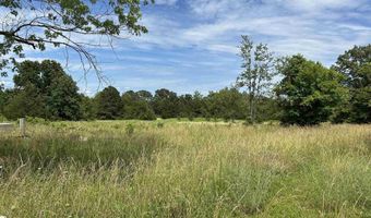 676 County Road 403, Alton, MO 65606