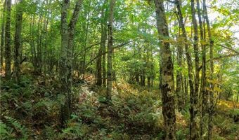 Tbd Arnett Road, Banner Elk, NC 28604