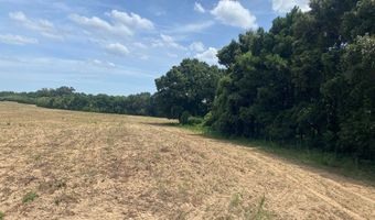 1 County Road 91, Banks, AL 36005
