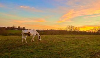County Road 529, Ava, MO 65608