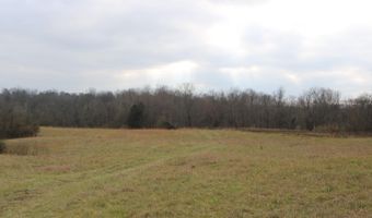 8873 US 50, Aurora, IN 47001