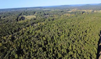 51 Shelton Rd, Bee Branch, AR 72013