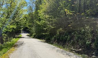 6 Wakeman Way, Banner Elk, NC 28604