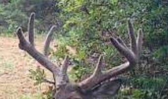 240 Magnolia, Bennington, OK 74723