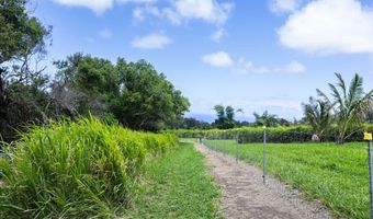 54-1749 PAIPO KANE Rd, Kapaau, HI 96755