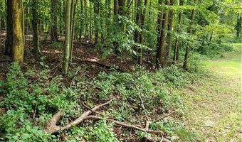 0000 Ararat, Ararat, VA 24053