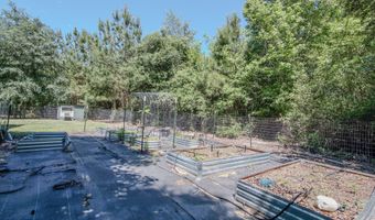 17103 NW Chipola Heights Rd, Altha, FL 32421