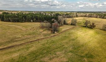 14301 Mann Ln, Alexander, AR 72002