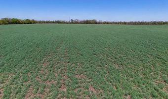 0000 SW Tawakoni Rd, Andover, KS 67002