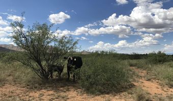 120 AC Off Stronghold & Ironwood Rd, Cochise, AZ 85606