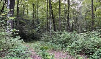 000 Chestnut Oaks, Andrews, NC 28901