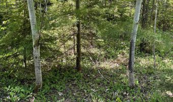 Gratiot River Road lot A, Allouez, MI 49805