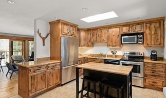 1020 E Durant Ave 301, Aspen, CO 81611