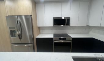 910 W Hallam St 12, Aspen, CO 81611