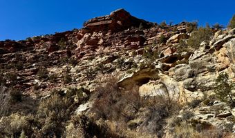 TBD X4 Road, Bedrock, CO 81411