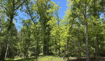TALLMAN HOLLOW ROAD, Montoursville, PA 17754