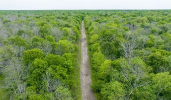 CR 4630, Annona, TX 75550