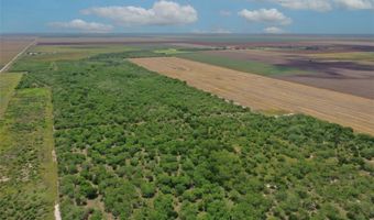 CR 331, Alice, TX 78332