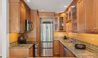 980 E Hyman Avenue 3, Aspen, CO 81611