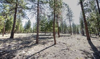 31760 HWY 10 W, Alberton, MT 59820
