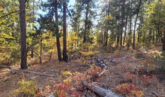 605 PINE CREEK Rd, Bickleton, WA 99322