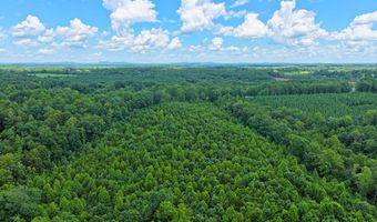 Airport Rd lot 0, Bassett, VA 24055