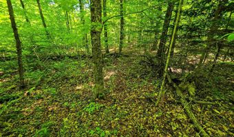 1905 Camp Munn Rd, Bradford, VT 05033