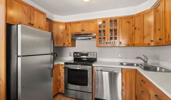 125 E Hyman Ave 1A, Aspen, CO 81611