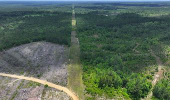 Sardis Church Road, Atmore, AL 36502