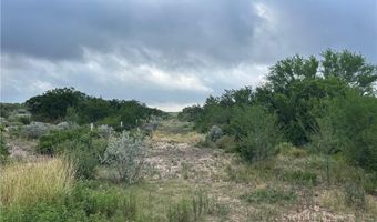 0000 County Road 173, San Diego, TX 78332