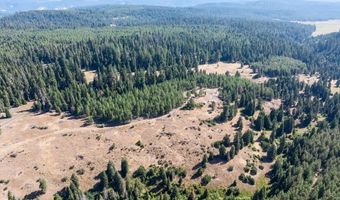 13889 Dead Indian Memorial Rd, Ashland, OR 97520