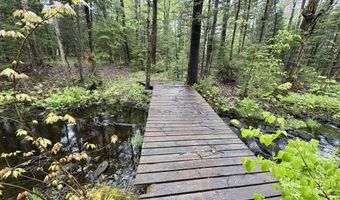 89 Don Jr Way, Altona, NY 12910