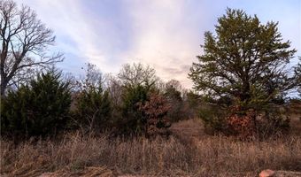 Tract 4 Acme RD, Asher, OK 74826
