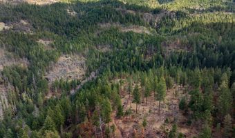 2829 Buckhorn Springs Rd, Ashland, OR 97520