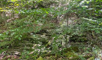 Hamilton Ridge Road, Alderson, WV 24910