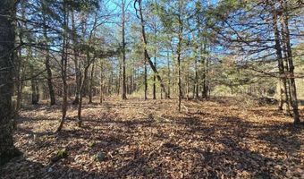 10 TBD Bates Arkansas, Bates, AR 72958