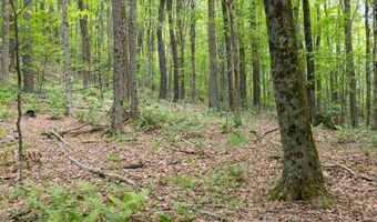 Timberland Drive, Andes, NY 13731