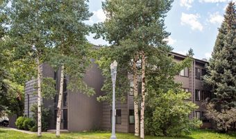 725 E Main St #309, Aspen, CO 81611