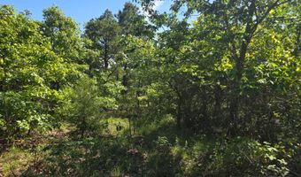 TRACT 40 TRAIL RIDGE ROAD, Albion, OK 74571
