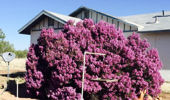 3597 Boone Trl, Ash Fork, AZ 86046