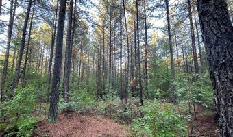 Reed Rock Road, Amelia, VA 23002