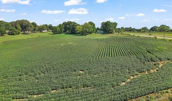 2966 N U.S. 412, Alamo, TN 38001